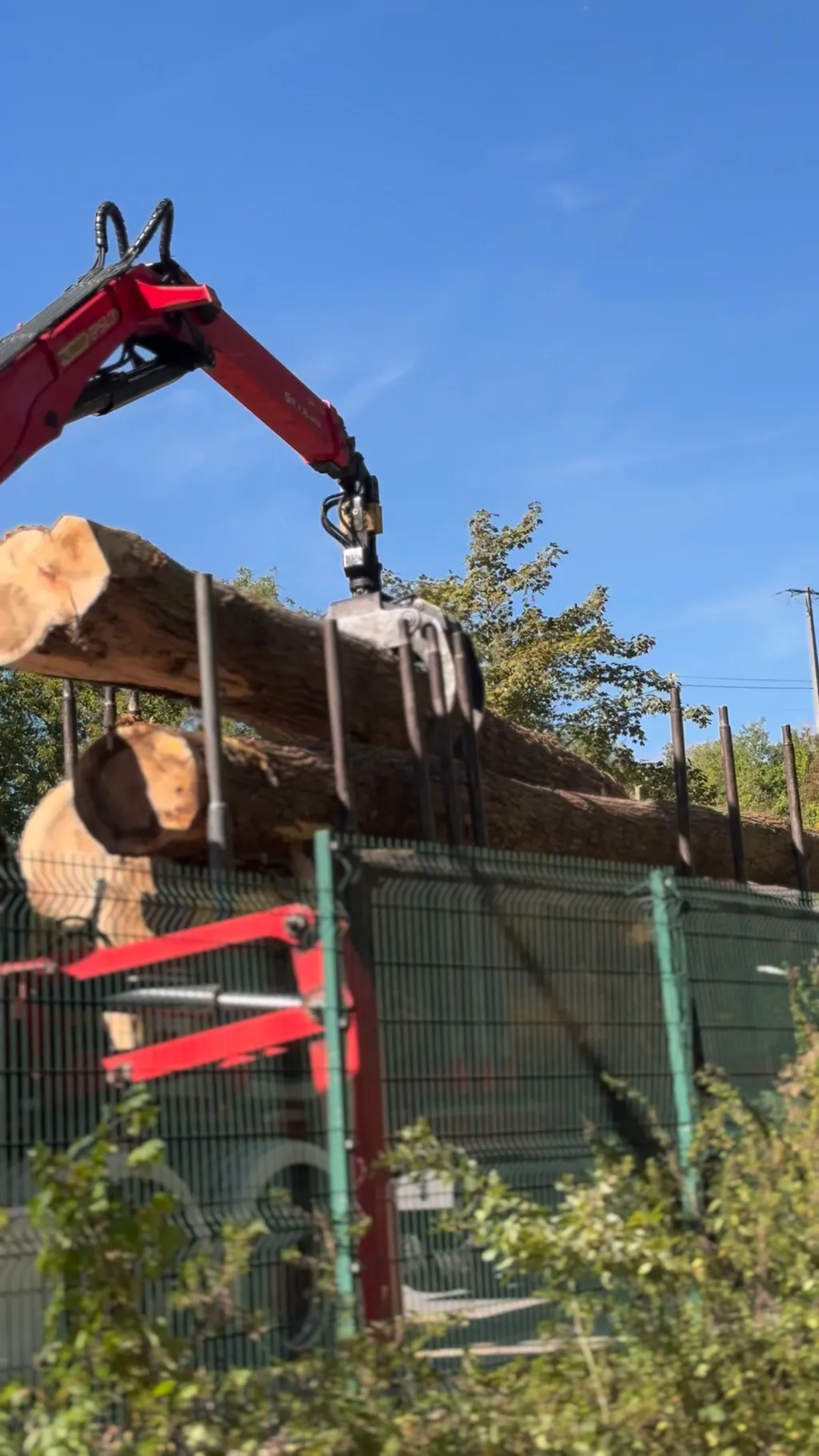 Chargement de peupliers au camion-grue sur un chantier de France Bois Service