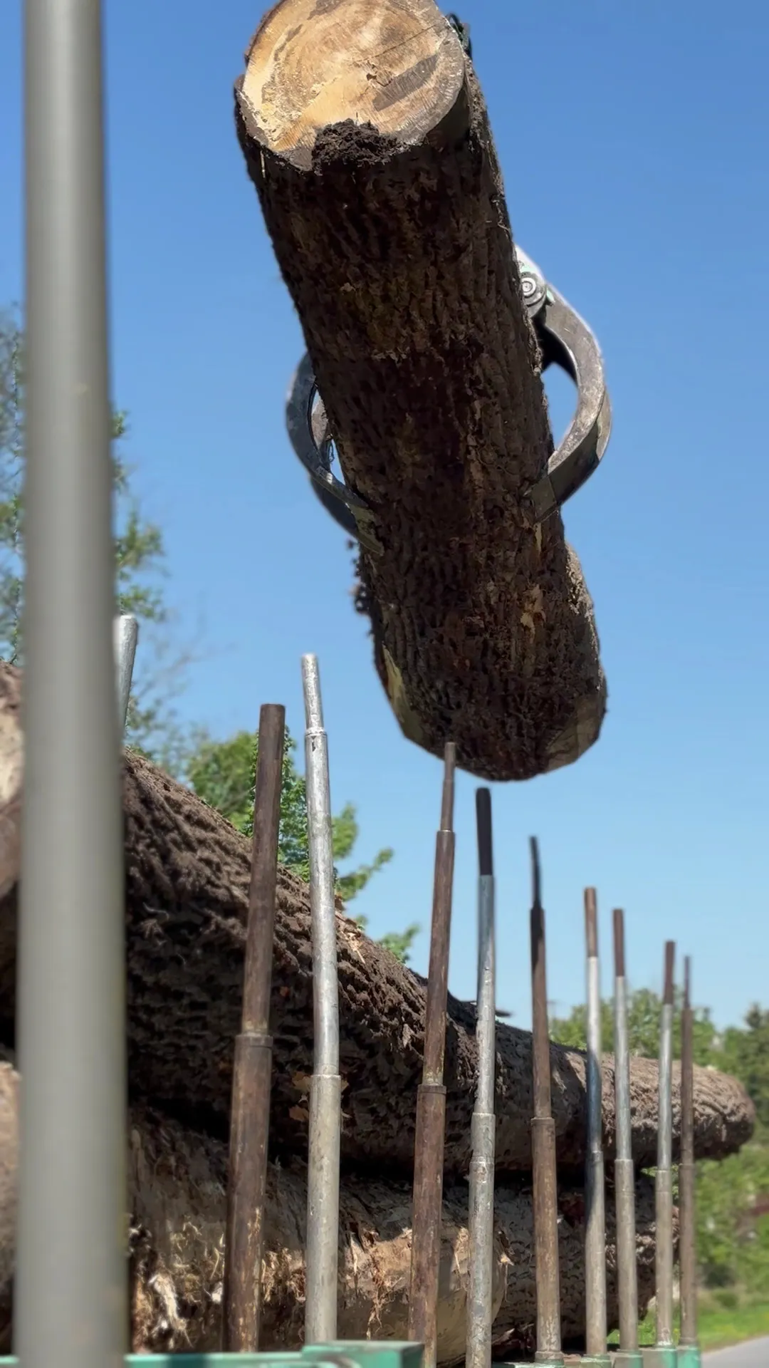 France Bois Service crane lorry loading a log onto its trailer