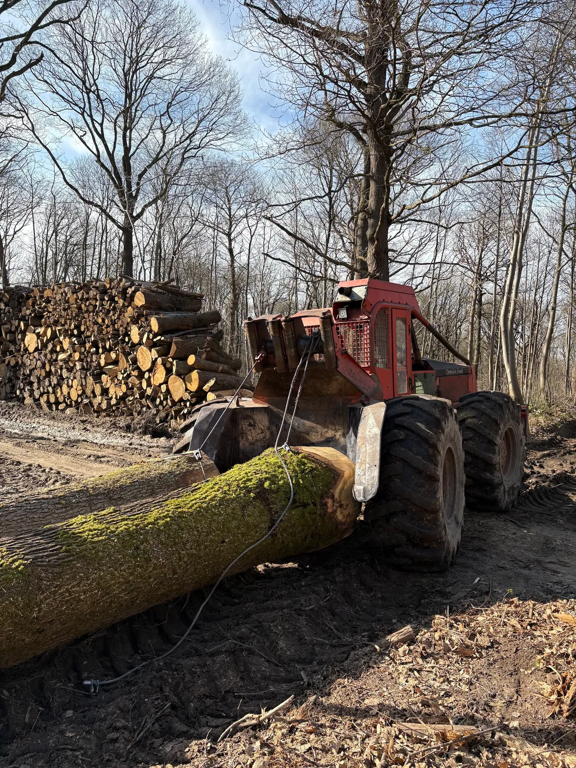 France Bois Service skidder winching a log in the forest