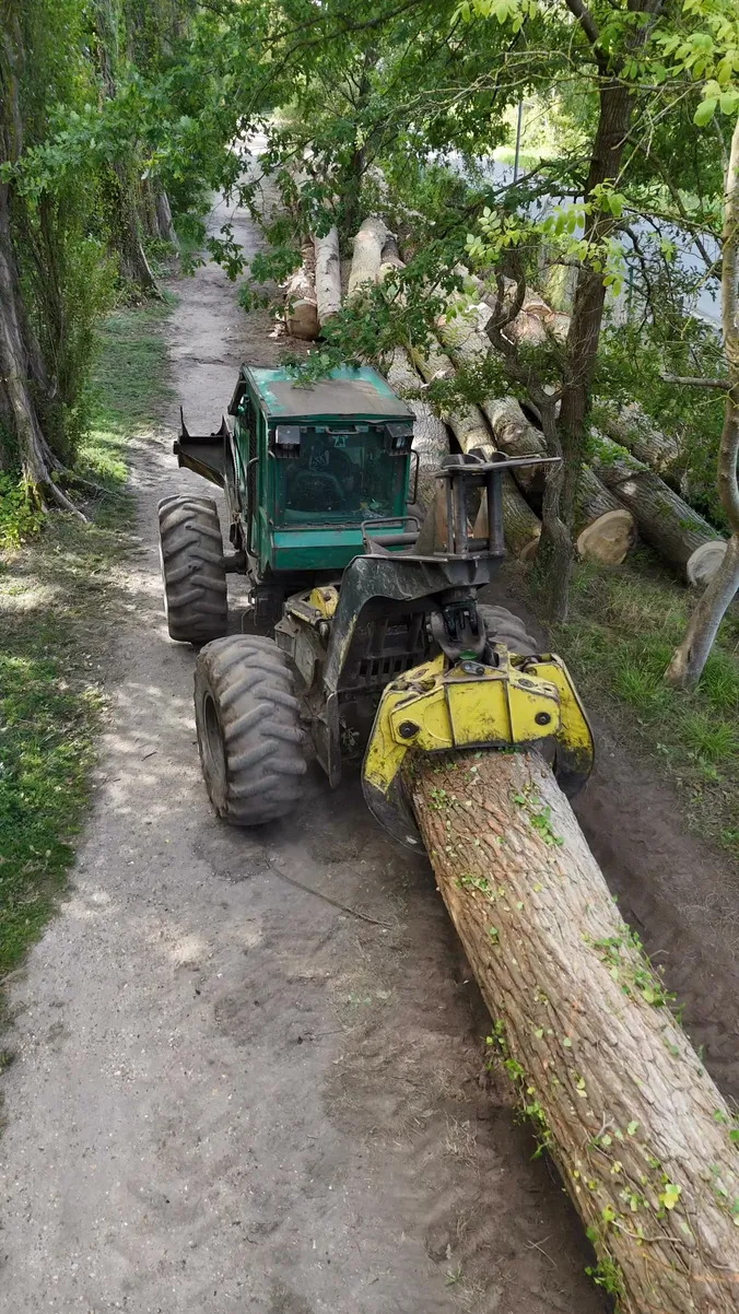 Timberjack beim Rücken von Stämmen auf einer Baustelle von France Bois Service
